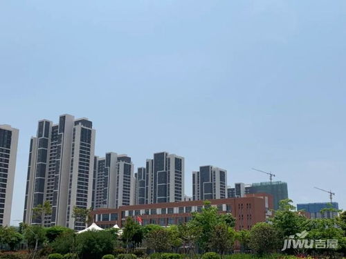 廈門濱海花園新星 融信鉑悅灣，撿漏良機(jī)不容錯(cuò)過